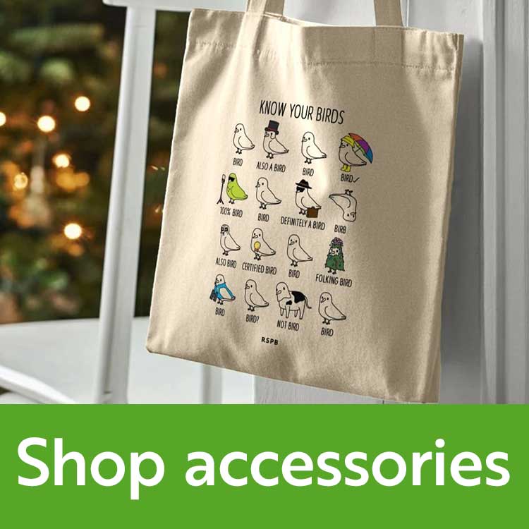 Shop accessories