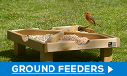 Ground feeders