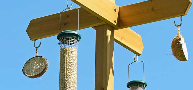 RSPB Bird feeding stations