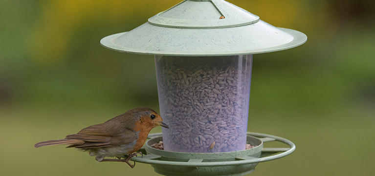 RSPB Bird feeders