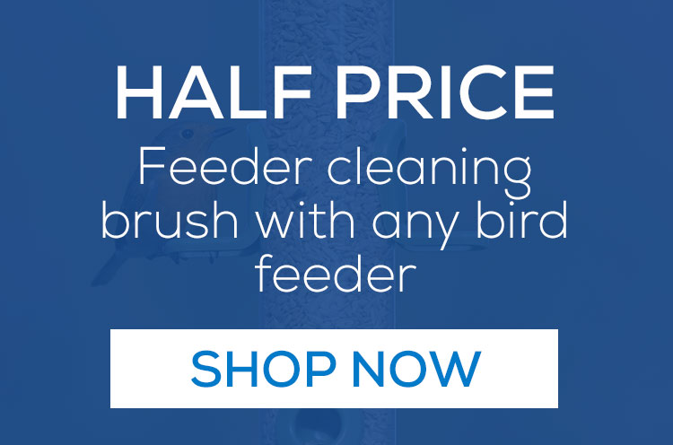 Half price feeder cleaning brush with any bird feeder. Shop now
