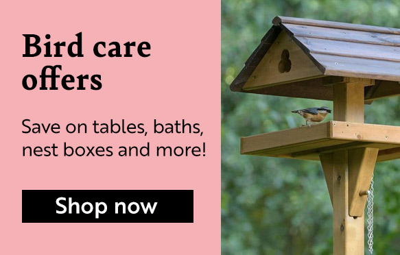 Save on bird feeders and food with these bundles. Shop now!
