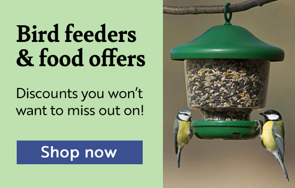Save on bird feeders and food with these bundles. Shop now!