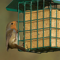 Link to Bird best-sellers category