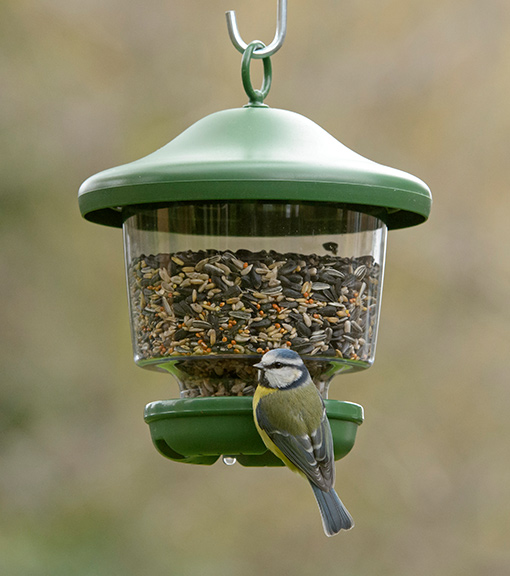 Bird feeders for small birds