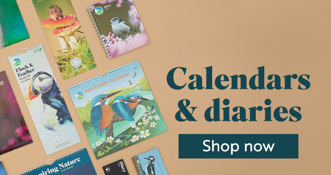 Link to calendars and diaries category