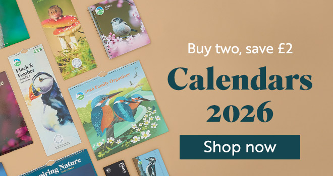 Link to buy two, save £2 on calendars 2026 category