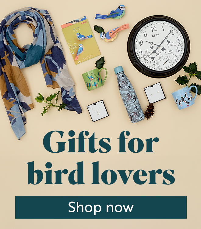 Link to Gifts for her category