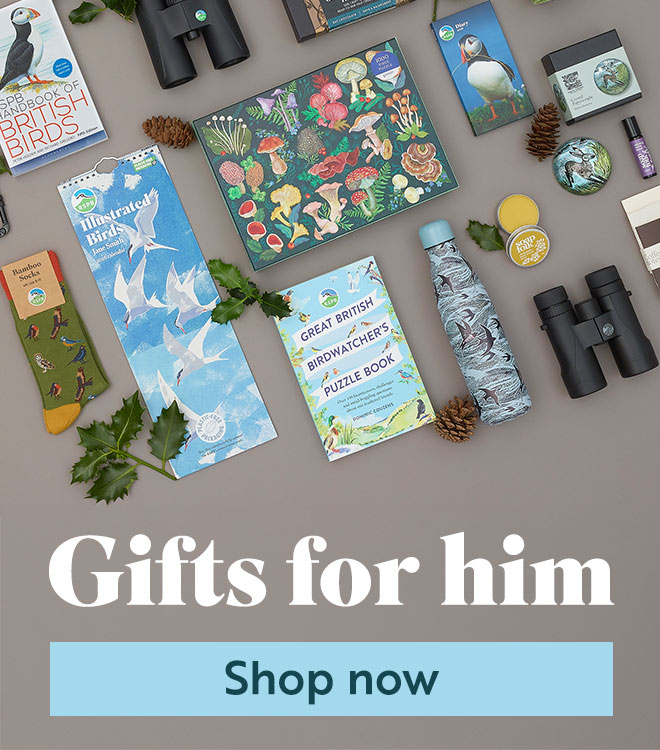 Link to Gifts for him category