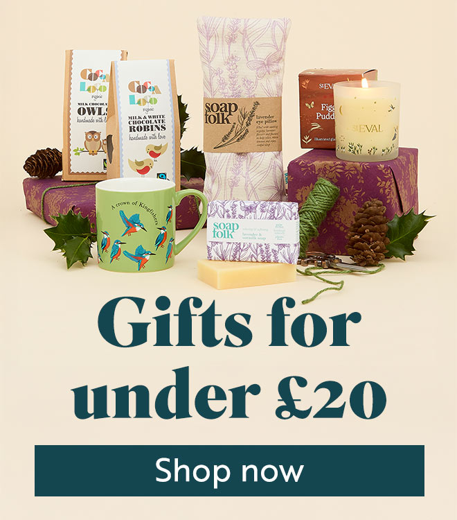 Link to Gifts for under £20 category