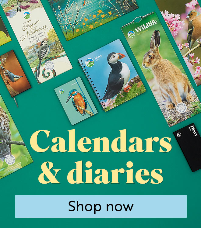 Link to Calendars and diaries category
