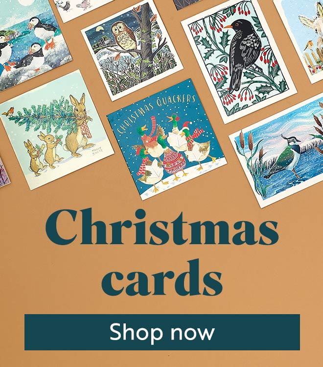Link to Christmas card category