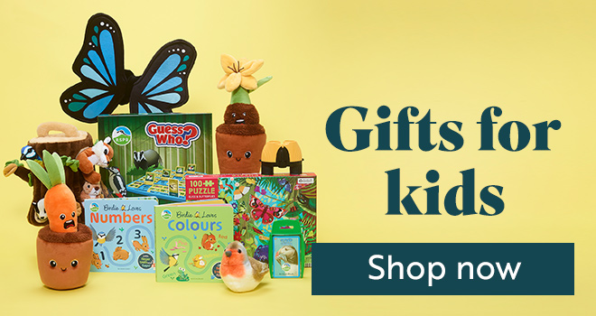 Link to Gifts for kids category