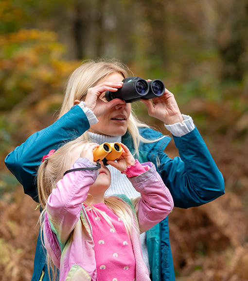 Bird watching binoculars