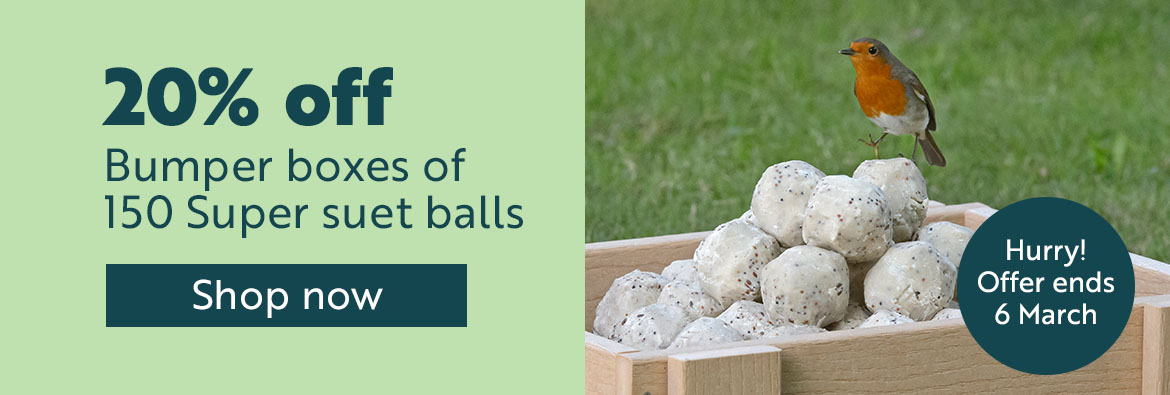 20% off bumper boxes of 150 super suet balls. Hurry! Shop now!