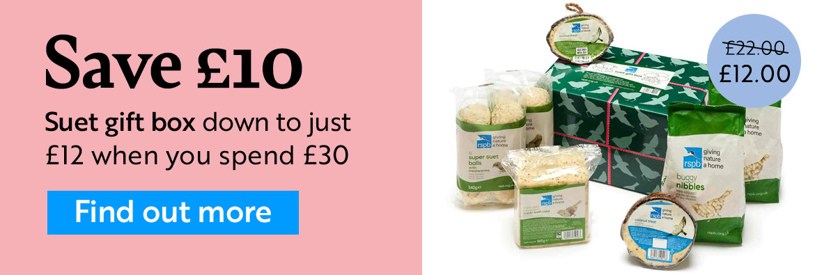 Save £10 on Suet gift box. Hurry! Shop now!