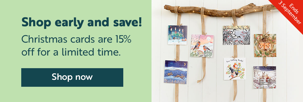 Shop early and save! Christmas cards are 15% off for a limited time - shop now