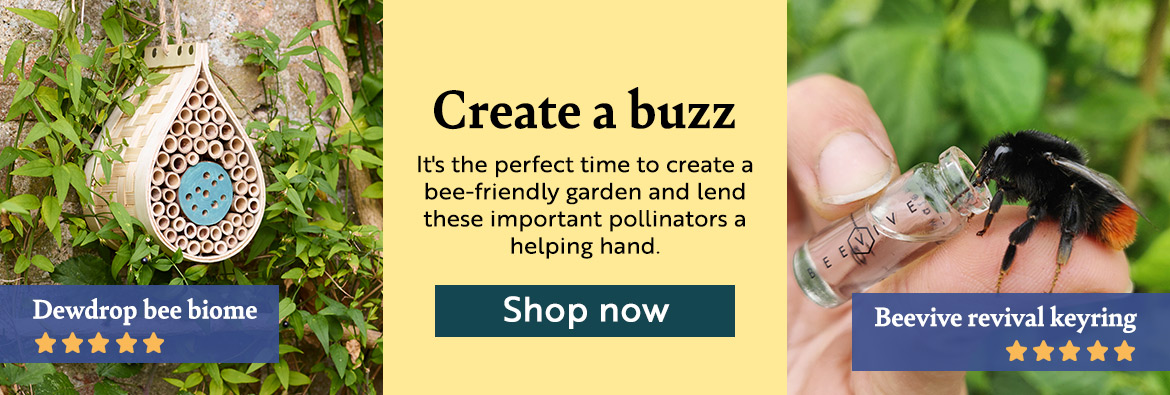 Create a buzz. It's the perfect time to create a bee-friendly garden and lend these important pollinators a helping hand. Shop now!