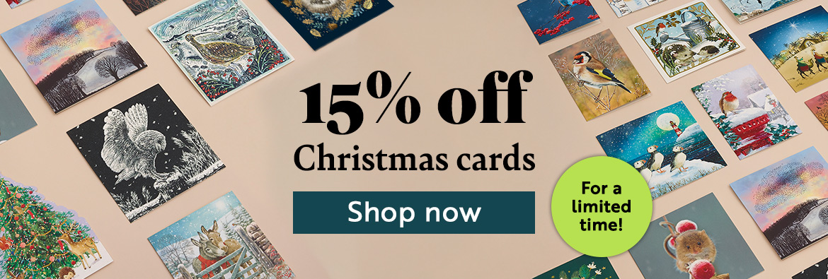15% off Christmas cards. For a limited time! Shop now!