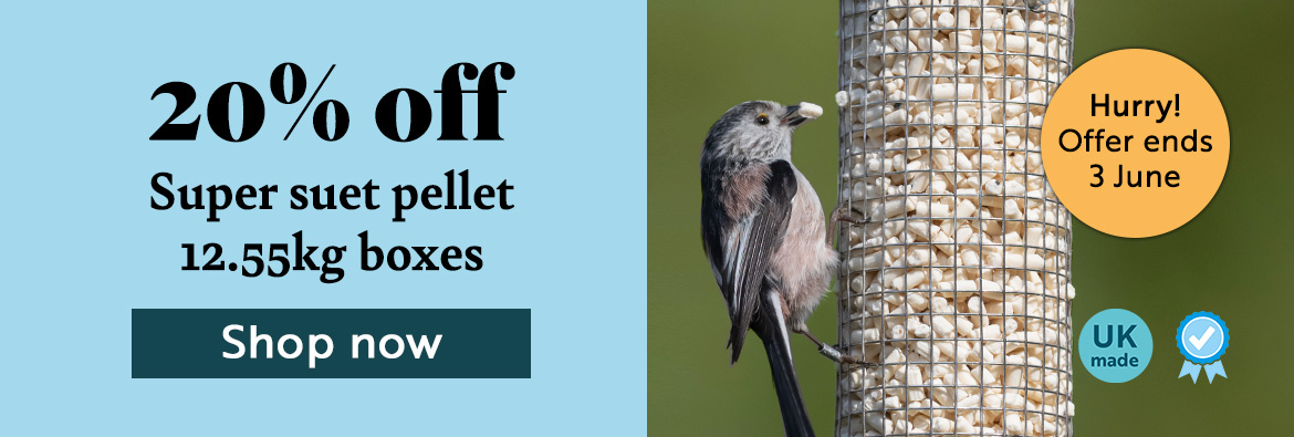 20% off Super suet pellet 12.55kg boxes. Hurry! Offer ends 3rd June. Shop now.