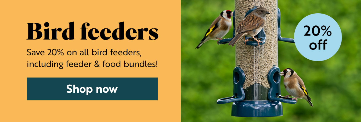 Save 20% on all bird feeders, including feeder and food bundles! Shop now!