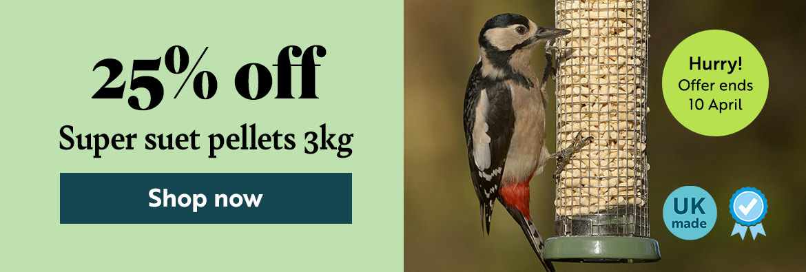 25% off Super suet pellets 3kg bag. Hurry! Offer ends 10 April. Shop now!