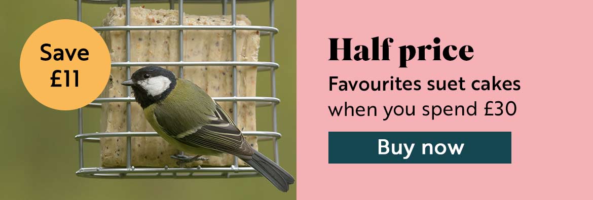 Half price Favourites suet cakes when you spend £30. Buy now!