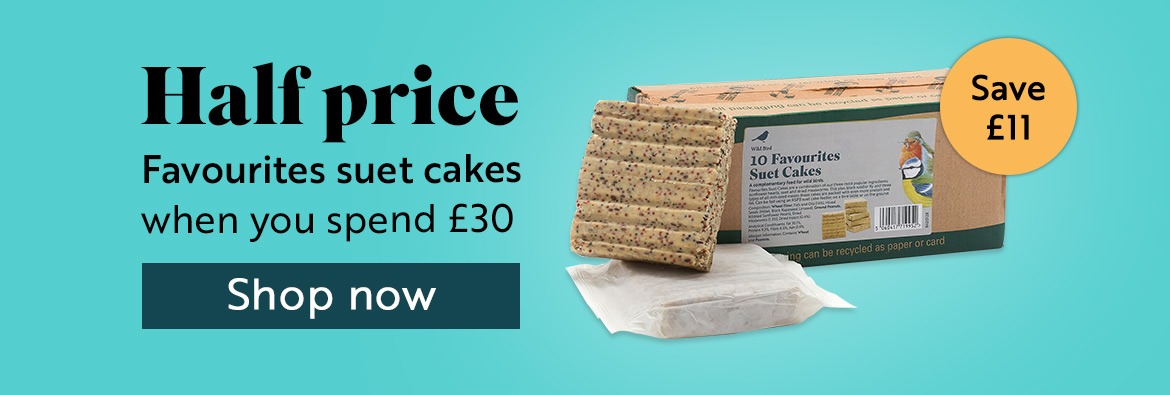 Half price Favourites suet cakes when you spend £30. Shop now!