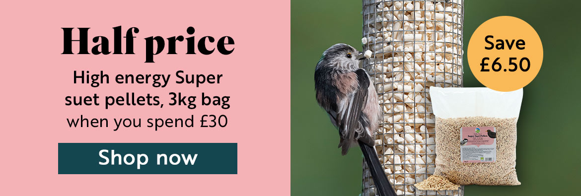 Half price Super suet pellets high energy 3kg bag when you spend £30. Save £6.50! Shop now.