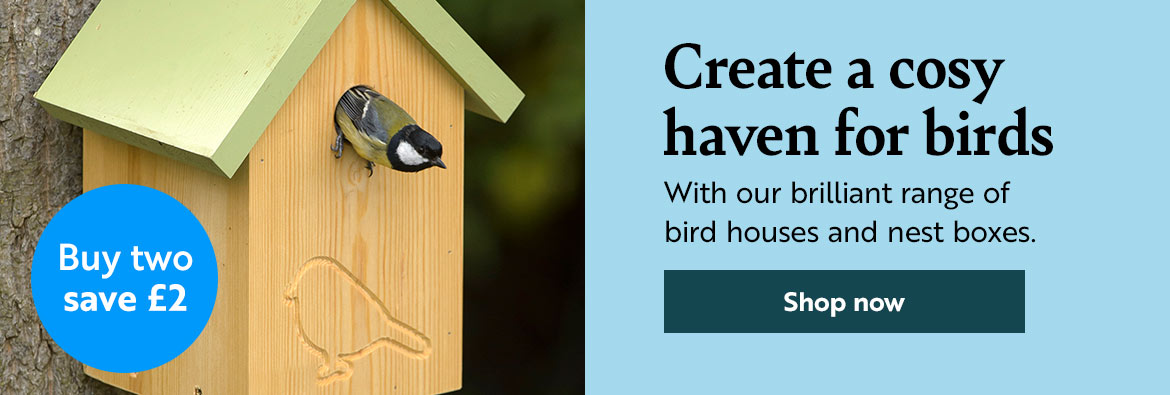 Create a cosy haven for birds with our brilliant range of sustainable nest boxes. Shop now!