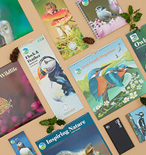 Link to Calendars and diaries category
