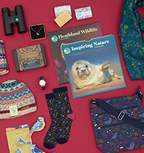 Link to Gift ideas category
