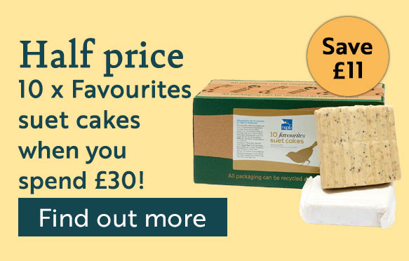 Half price 10 x Favourites suet cakes when you spend £30 - Find out more