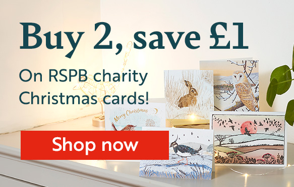 Buy 2, save £1 when you buy 2 packs of Christmas cards!