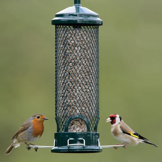 Squirrel Buster Mini seed feeder product photo default L