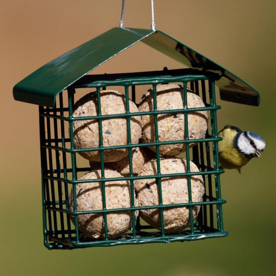 Dual suet feeder for fat balls & cakes product photo front L