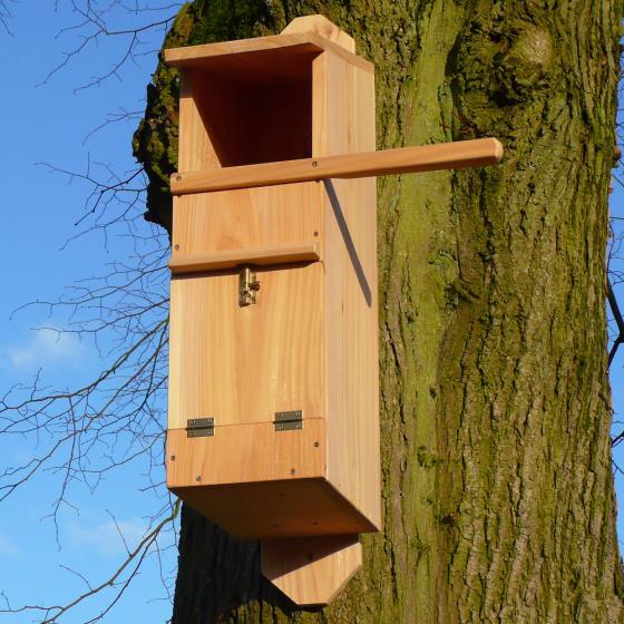 Bird of prey nest boxes