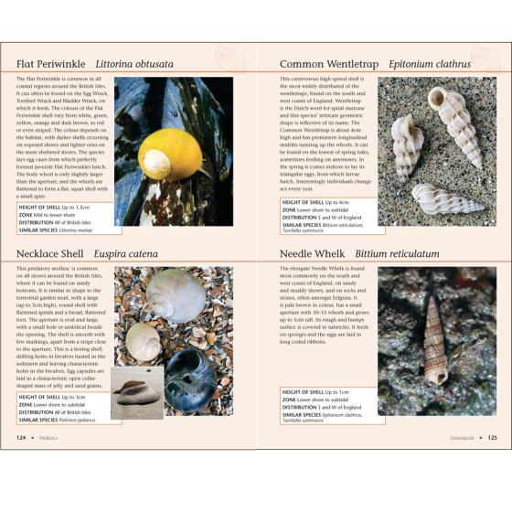 RSPB Handbook of the Seashore product photo front L