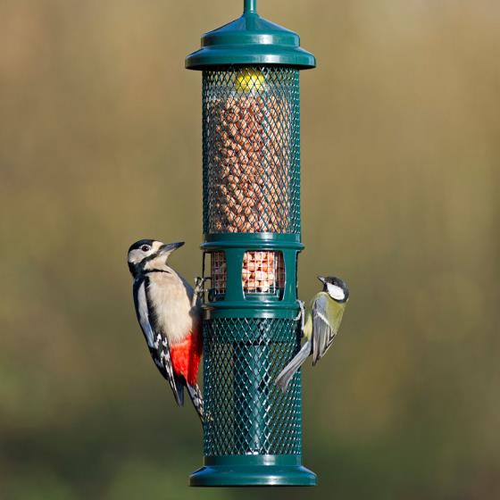 Squirrel Buster, nut and nibble feeder product photo default L