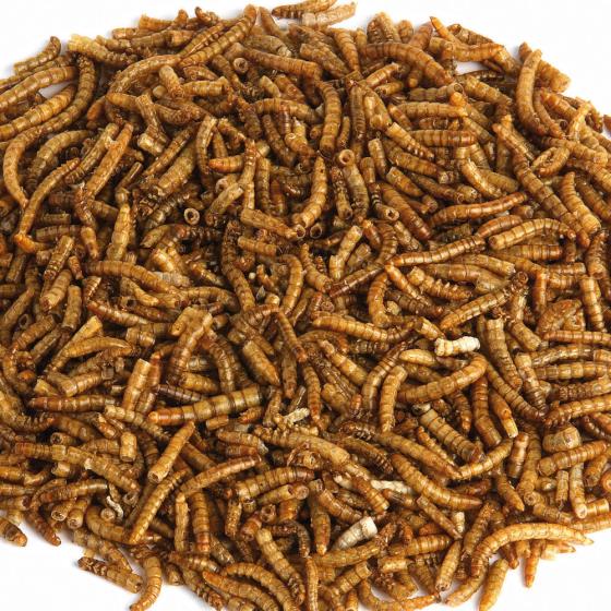 Dried mealworms 2kg product photo front L