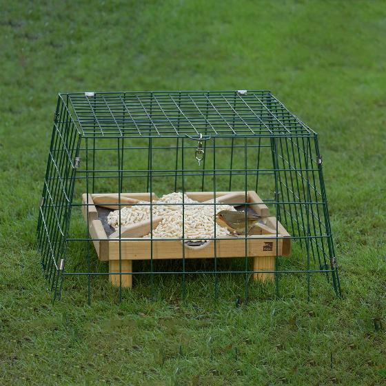 RSPB Ground bird feeder protector - wide mesh product photo default L