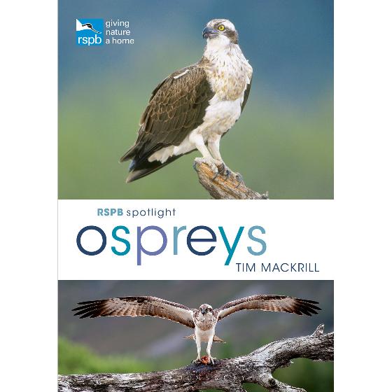 RSPB Spotlight ospreys product photo default L