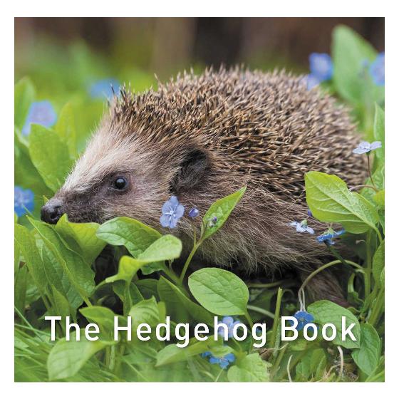 The Hedgehog Book product photo default L