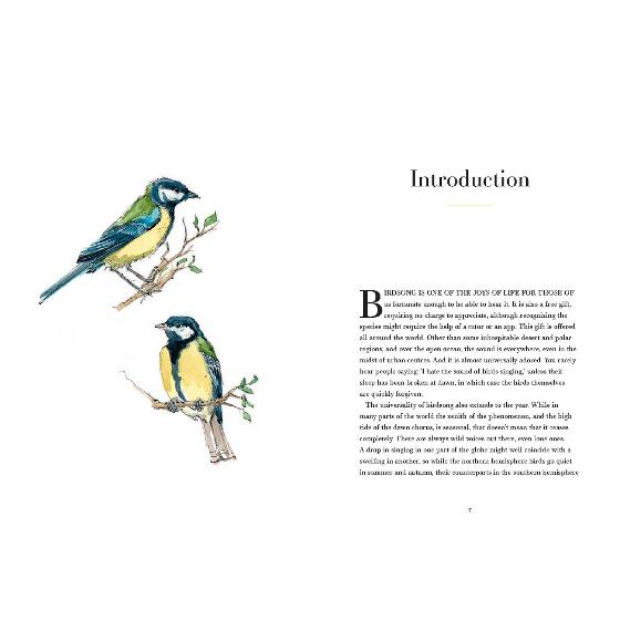 A Year of Birdsong by Dominic Couzens product photo side L