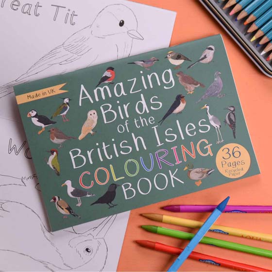 Amazing birds of the British Isles colouring book product photo default L