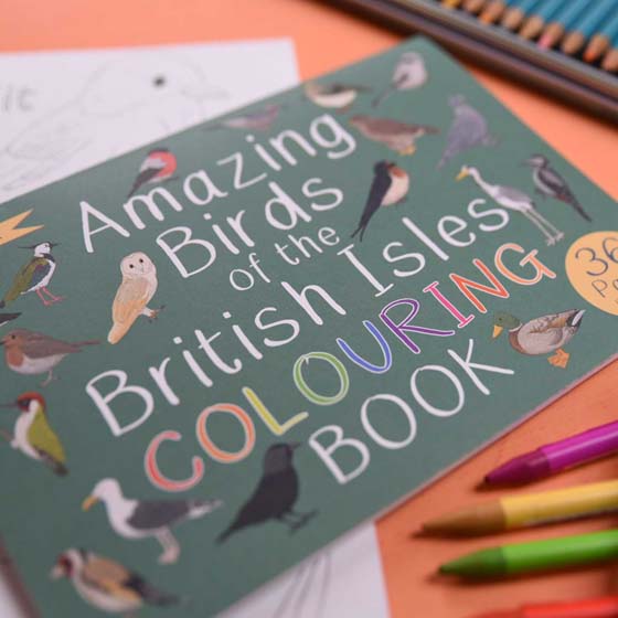 Amazing birds of the British Isles colouring book product photo side L