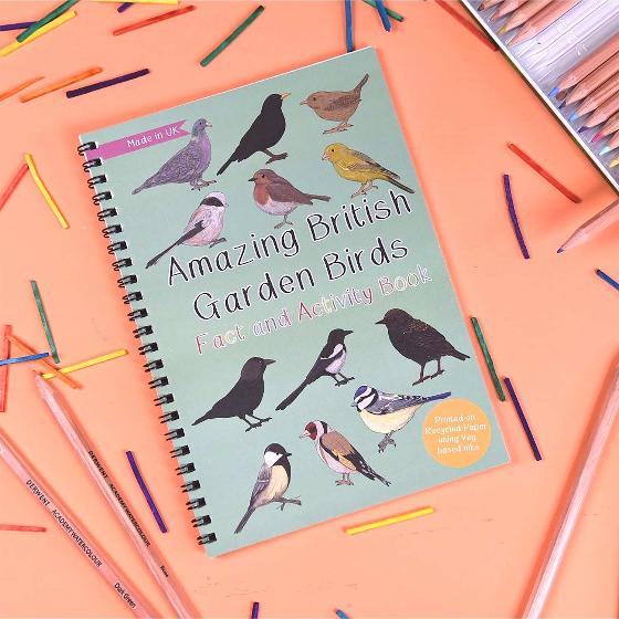 Amazing British garden birds activity book product photo default L