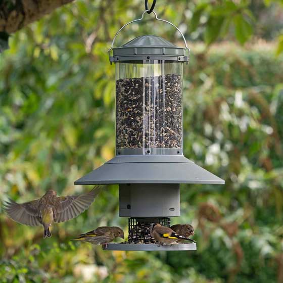 Automatic bird feeder with timer product photo default L