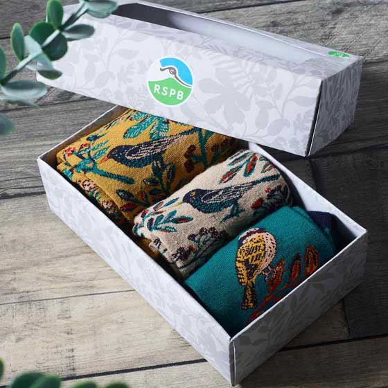 RSPB Garden birds bamboo socks gift pack product photo ai6 L