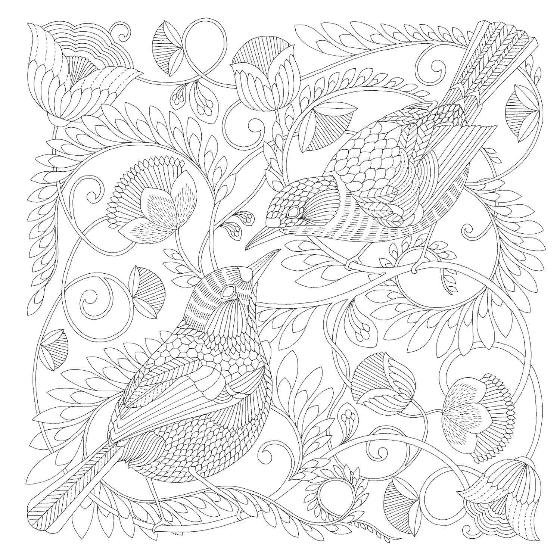 Beautiful birds and treetop treasures colouring book adventure, Millie Marotta product photo back L